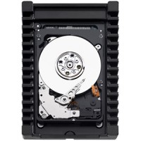 HDSATA3 0600 10000 WD WD6000HLHX / 32MB / Raid